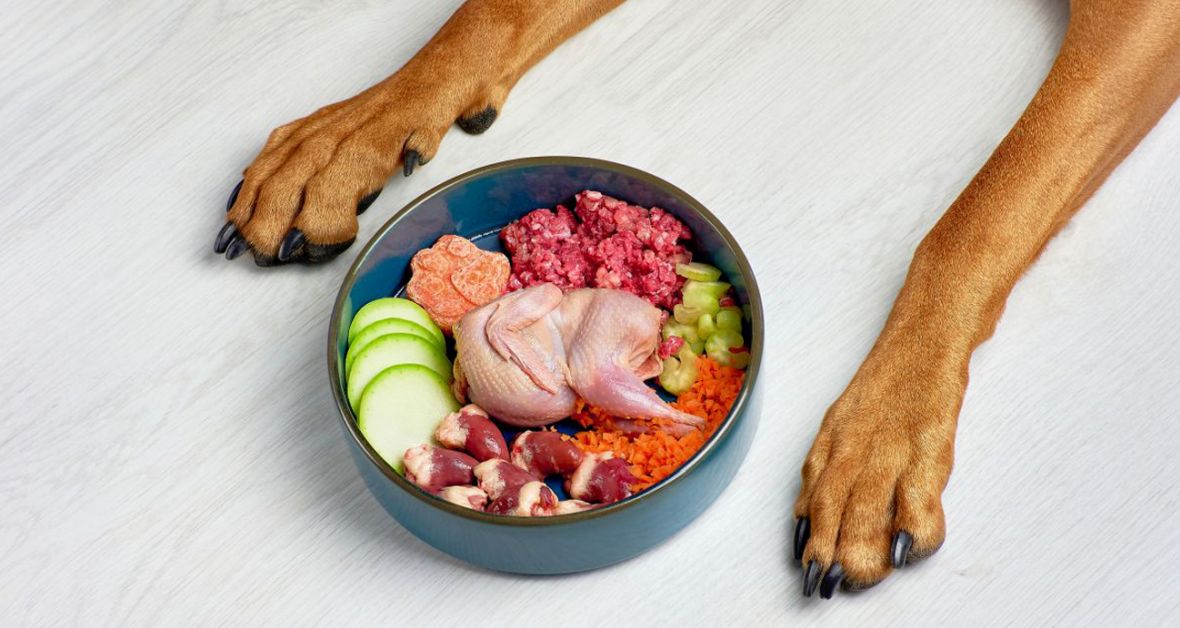 Veterinářka radí: Proč mít ovoce a zeleninu v granulích