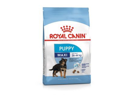 Royal Canin Maxi Puppy 4 kg