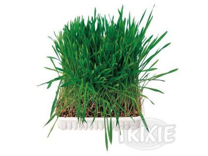 Trixie Tráva pro hlodavce v misce 100 g