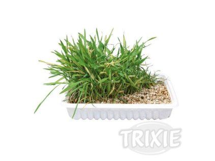Trixie Tráva pro kočku v sáčku 100 g
