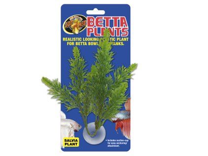 Betta Plant – Šalvěj