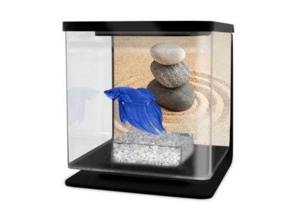 Cat-Gato Betarium Betta kit sand 2l