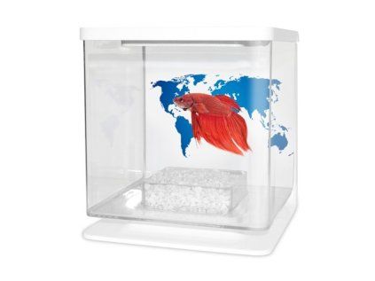 Cat-Gato Betarium Betta kit world map 2 l