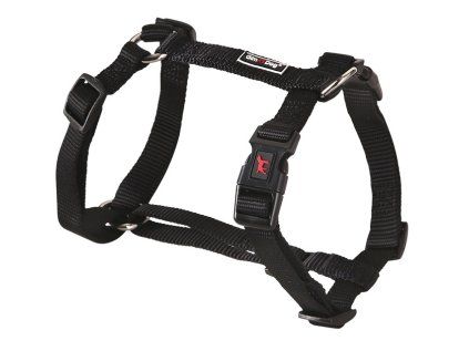 Postroj Gimborn Nylon H 3,8 x 80 - 110 cm černý