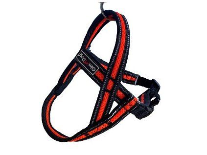 Postroj Gimborn Mesh Y 1,5 x 42 45 - 55 cm oranžový