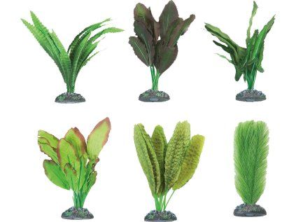 Flamingo akvarijní rostliny mix CONGO M