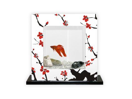 CATGATO Akvarium Japonské 39x10x39 cm