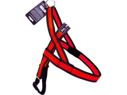 Postroj Gimborn Mesh Y 3,2x85 88-110 cm červený