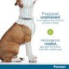 Foresto obojek pro malé psy do 8 kg 38 cm
