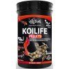 Haquoss Kiolife kompletní krmivo pro ryby v rybníčku 1000 ml