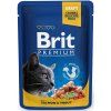 Kapsička Brit Cat Premium Pouches losos + pstruh 100 g
