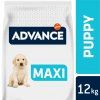 ADVANCE DOG MAXI Puppy Protect 12 kg