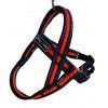 Postroj Gimborn Mesh Y 3,2 x 85 88-110 cm oranžový