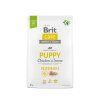 Brit Care Dog Sustainable Puppy, 3kg