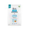 Brit Care Dog Grain-free Junior Large Breed, 3kg