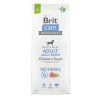 Brit Care Dog Sustainable Adult Large Breed, 12 kg