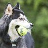 KONG Airdog hračka tenisový míč XS 3 ks