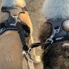 I-Dog Upka Style spojovací vodítko černé