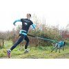 I-Dog ALM Opale vodítko s amortizérem malý pes, modré 190cm