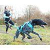 I-Dog ALM Phoneix postroj, modrý XXS