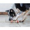 Nylabone hračka Extreme kost uzel příchuť hovězí L