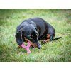 Nylabone hračka Puppy Wishbone příchuť kuřecí ružová XS