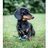 Nylabone hračka Puppy Wishbone příchuť kuřecí modrá XS
