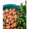 Kapsička Half&Half Adult Cat kousky v omáčce kachna 100 g
